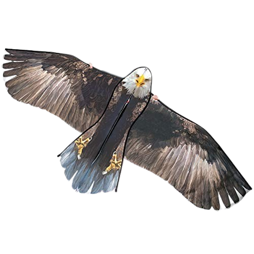 BARRILETE  AGUILA