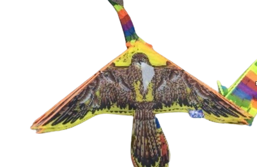 BARRILETE PAJARO 110 X 55 CM.
