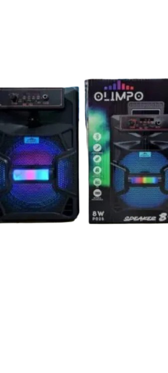 PARLANTE RECARGABLE 8" C/MICROFONO - 8 W