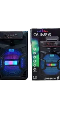 [75506] PARLANTE RECARGABLE 8" C/MICROFONO - 8 W (P025)